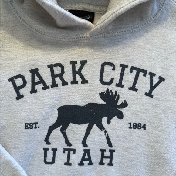 Cozy Gray Park City Utah Kids Sweatshirt Hoodie small - Picture 3 of 7